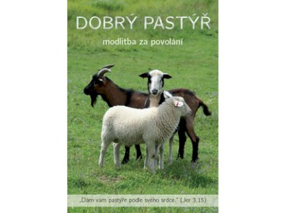 4159_DOBRY PASTYR